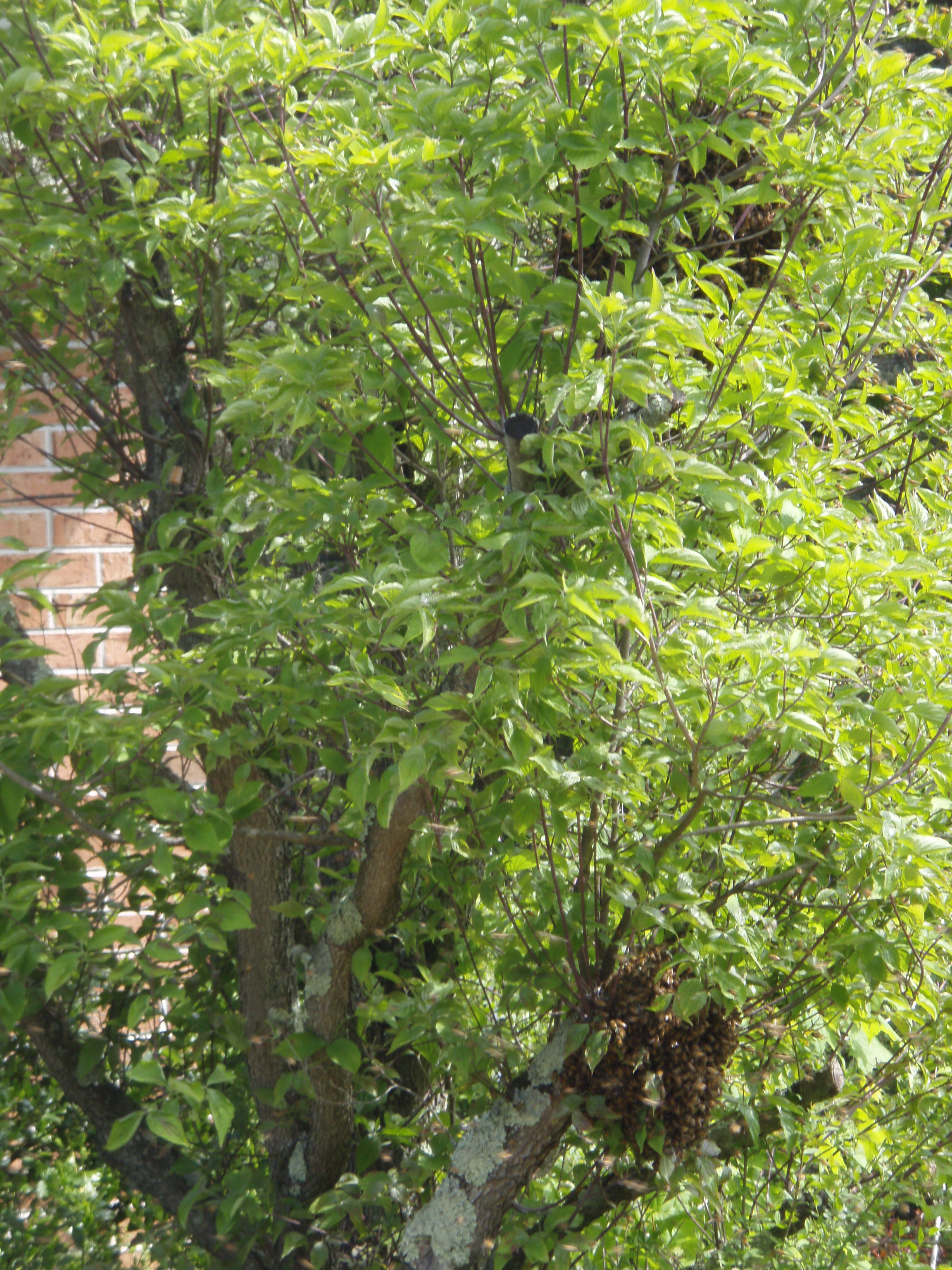 front gable porch with brick raised garden