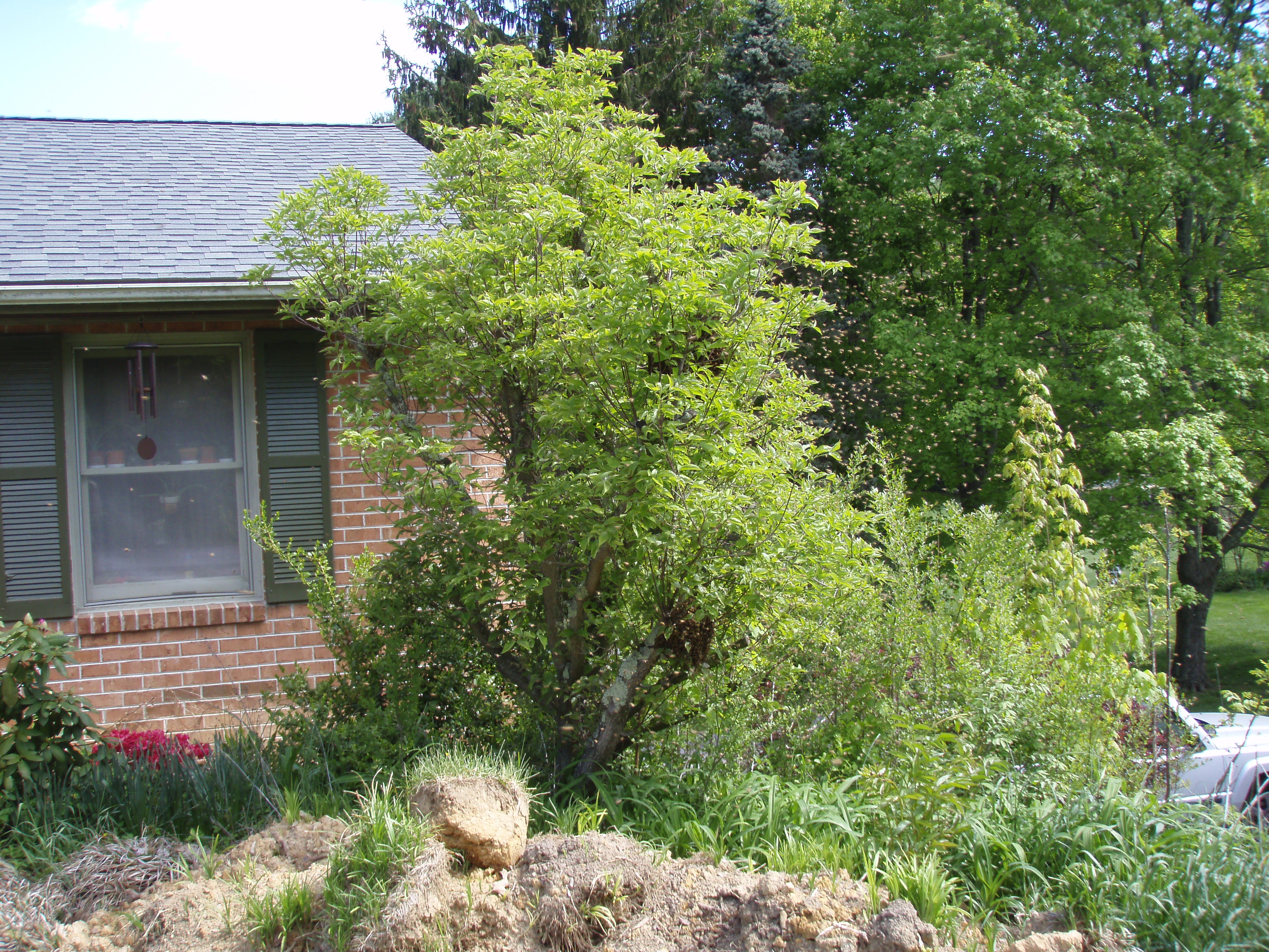 front gable porch with brick raised garden