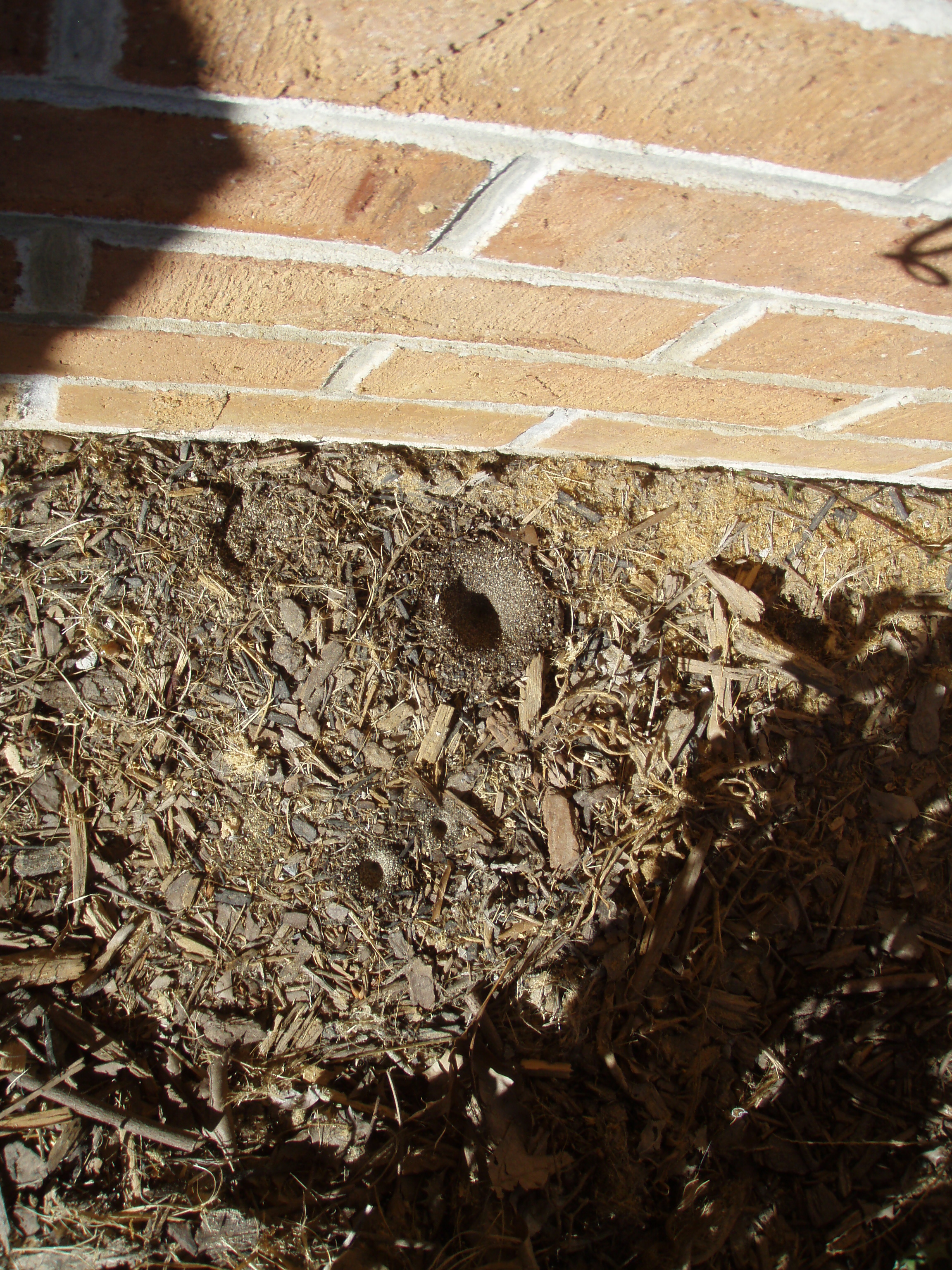 front gable porch with brick raised garden